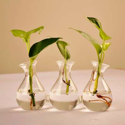 Home Decorative Flower Vase Glass Modern Mini Clear Glass Vases