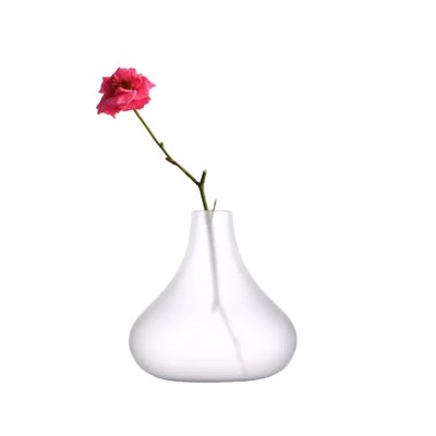 Nordic Style Modern Minimalist Home Decoration Plating Frosted Transparent Decorative Glass Flower Vase