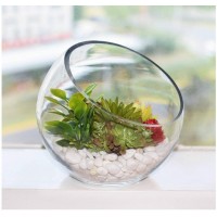 Ecosides Large Opening Glass Terrarium/Fish Bowl/Tabletop Airplant Holder/Home Vase Decoration